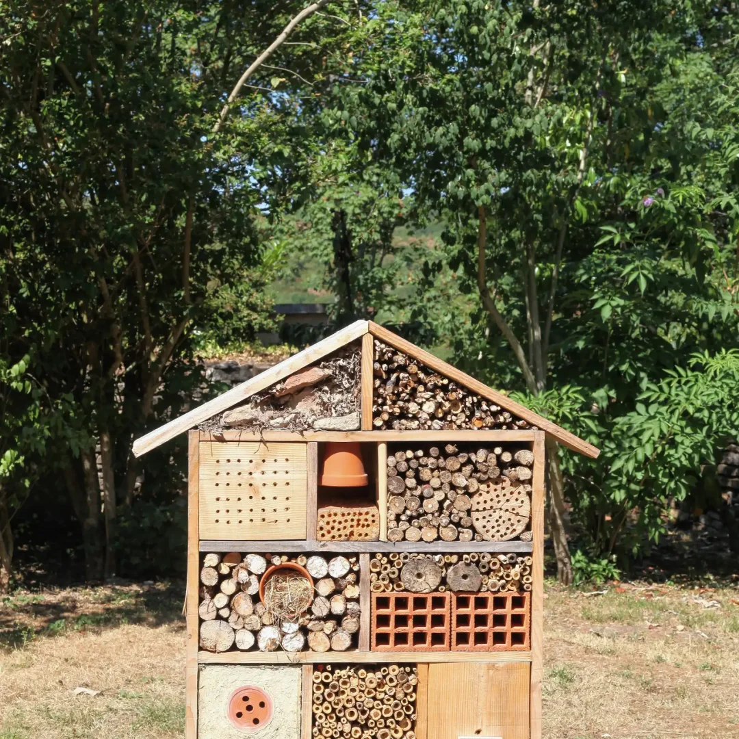 AdobeStock_210916003